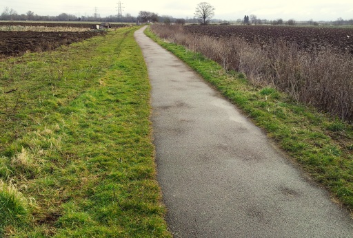 After Willington the path narrows, further along the surface becomes rough and uneven